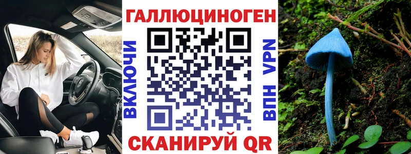 Псилоцибиновые грибы MAGIC MUSHROOMS  где найти наркотики  кракен ССЫЛКА  Ессентуки 